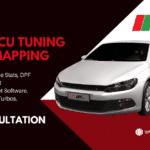 Ripley Remapping Services ECU DPF