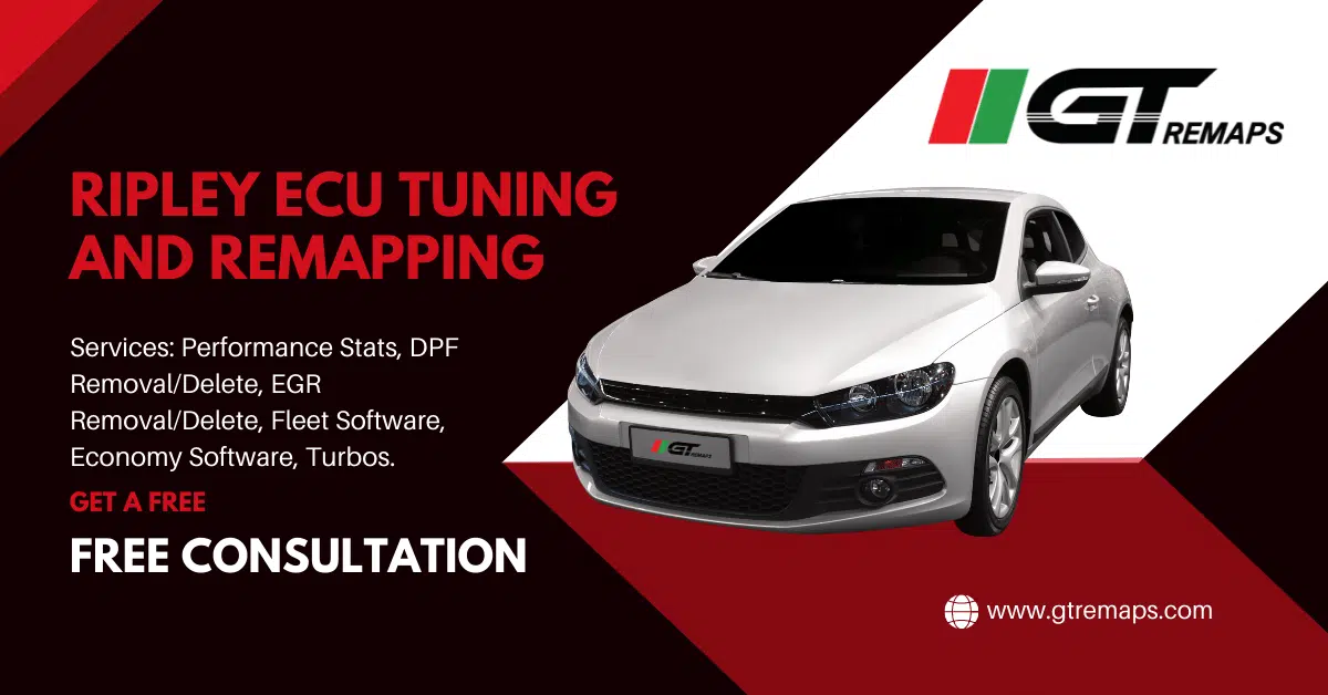 Ripley Remapping Services ECU DPF